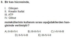 12. Sınıf Biyoloji Test 14 Soru-8