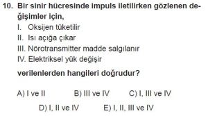 12. Sınıf Biyoloji Test 15 Soru-10