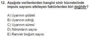 12. Sınıf Biyoloji Test 15 Soru-12