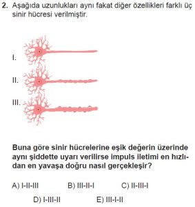 12. Sınıf Biyoloji Test 15 Soru-2