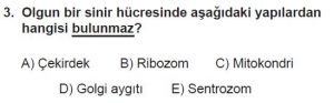 12. Sınıf Biyoloji Test 15 Soru-3