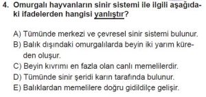 12. Sınıf Biyoloji Test 15 Soru-4