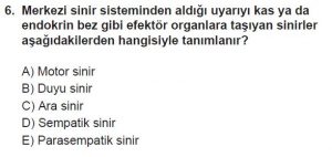 12. Sınıf Biyoloji Test 15 Soru-6