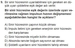 12. Sınıf Biyoloji Test 15 Soru-9