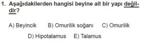12. Sınıf Biyoloji Test 16 Soru-1