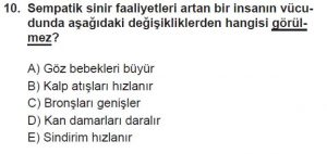 12. Sınıf Biyoloji Test 16 Soru-10