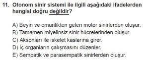 12. Sınıf Biyoloji Test 16 Soru-11