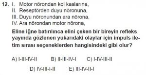12. Sınıf Biyoloji Test 16 Soru-12