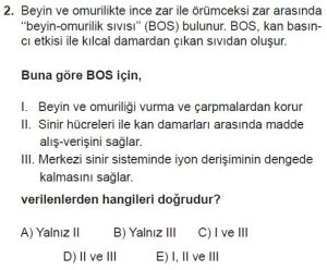 12. Sınıf Biyoloji Test 16 Soru-2