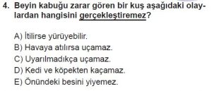 12. Sınıf Biyoloji Test 16 Soru-4