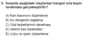 12. Sınıf Biyoloji Test 16 Soru-5