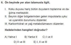 12. Sınıf Biyoloji Test 16 Soru-6
