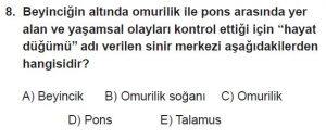 12. Sınıf Biyoloji Test 16 Soru-8