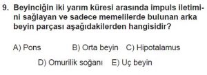 12. Sınıf Biyoloji Test 16 Soru-9
