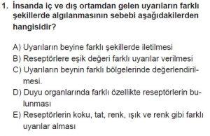 12. Sınıf Biyoloji Test 17 Soru-1