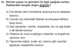 12. Sınıf Biyoloji Test 17 Soru-10