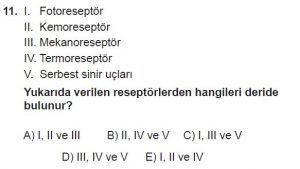 12. Sınıf Biyoloji Test 17 Soru-11