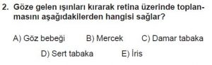 12. Sınıf Biyoloji Test 17 Soru-2
