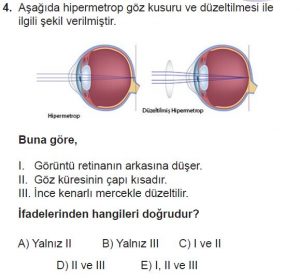 12. Sınıf Biyoloji Test 17 Soru-4