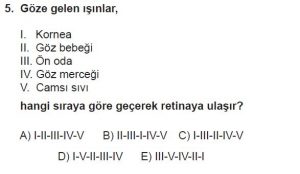 12. Sınıf Biyoloji Test 17 Soru-5