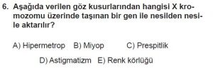 12. Sınıf Biyoloji Test 17 Soru-6