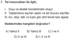 12. Sınıf Biyoloji Test 17 Soru-7