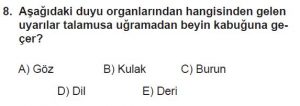12. Sınıf Biyoloji Test 17 Soru-8