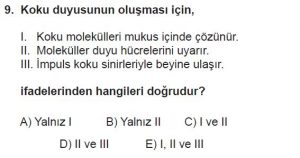 12. Sınıf Biyoloji Test 17 Soru-9