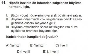 12. Sınıf Biyoloji Test 18 Soru-11