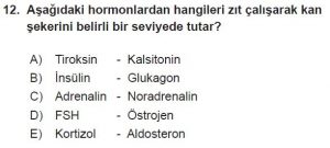 12. Sınıf Biyoloji Test 18 Soru-12