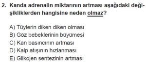 12. Sınıf Biyoloji Test 18 Soru-2