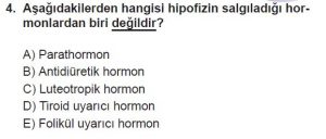 12. Sınıf Biyoloji Test 18 Soru-4