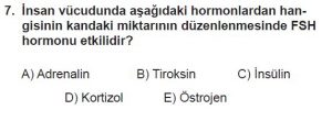12. Sınıf Biyoloji Test 18 Soru-7