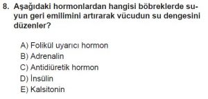 12. Sınıf Biyoloji Test 18 Soru-8