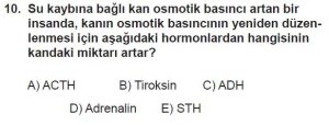 12. Sınıf Biyoloji Test 19 Soru-10