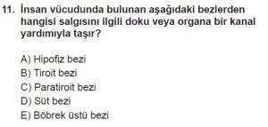 12. Sınıf Biyoloji Test 19 Soru-11