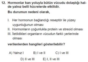 12. Sınıf Biyoloji Test 19 Soru-12