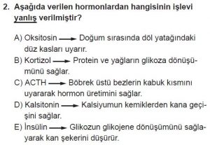 12. Sınıf Biyoloji Test 19 Soru-2