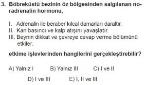 12. Sınıf Biyoloji Test 19 Soru-3