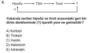 12. Sınıf Biyoloji Test 19 Soru-4