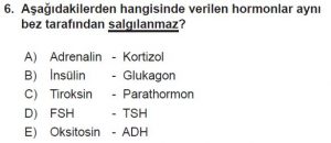 12. Sınıf Biyoloji Test 19 Soru-6