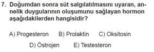 12. Sınıf Biyoloji Test 19 Soru-7