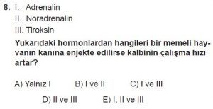 12. Sınıf Biyoloji Test 19 Soru-8