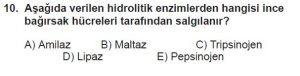 12. Sınıf Biyoloji Test 2 Soru-10