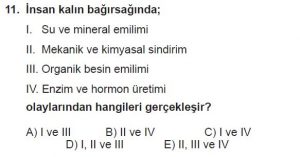 12. Sınıf Biyoloji Test 2 Soru-11