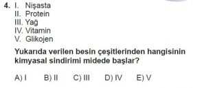 12. Sınıf Biyoloji Test 2 Soru-4