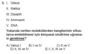 12. Sınıf Biyoloji Test 2 Soru-5