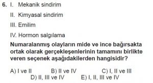 12. Sınıf Biyoloji Test 2 Soru-6