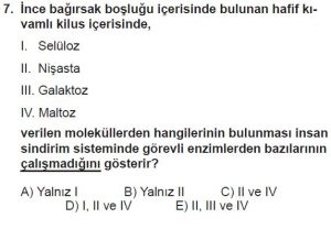 12. Sınıf Biyoloji Test 2 Soru-7