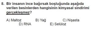 12. Sınıf Biyoloji Test 2 Soru-8